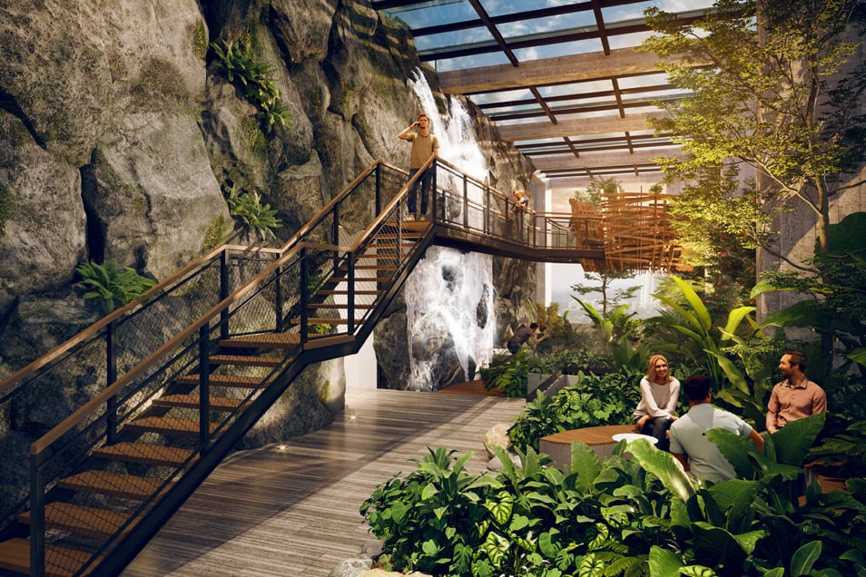 Dovle Selva park and landscaping