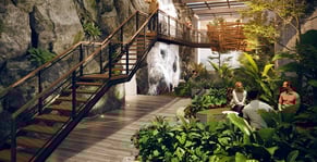 Selva