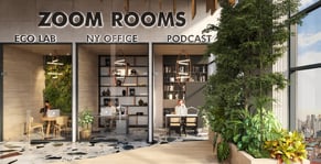 Zoom-rooms