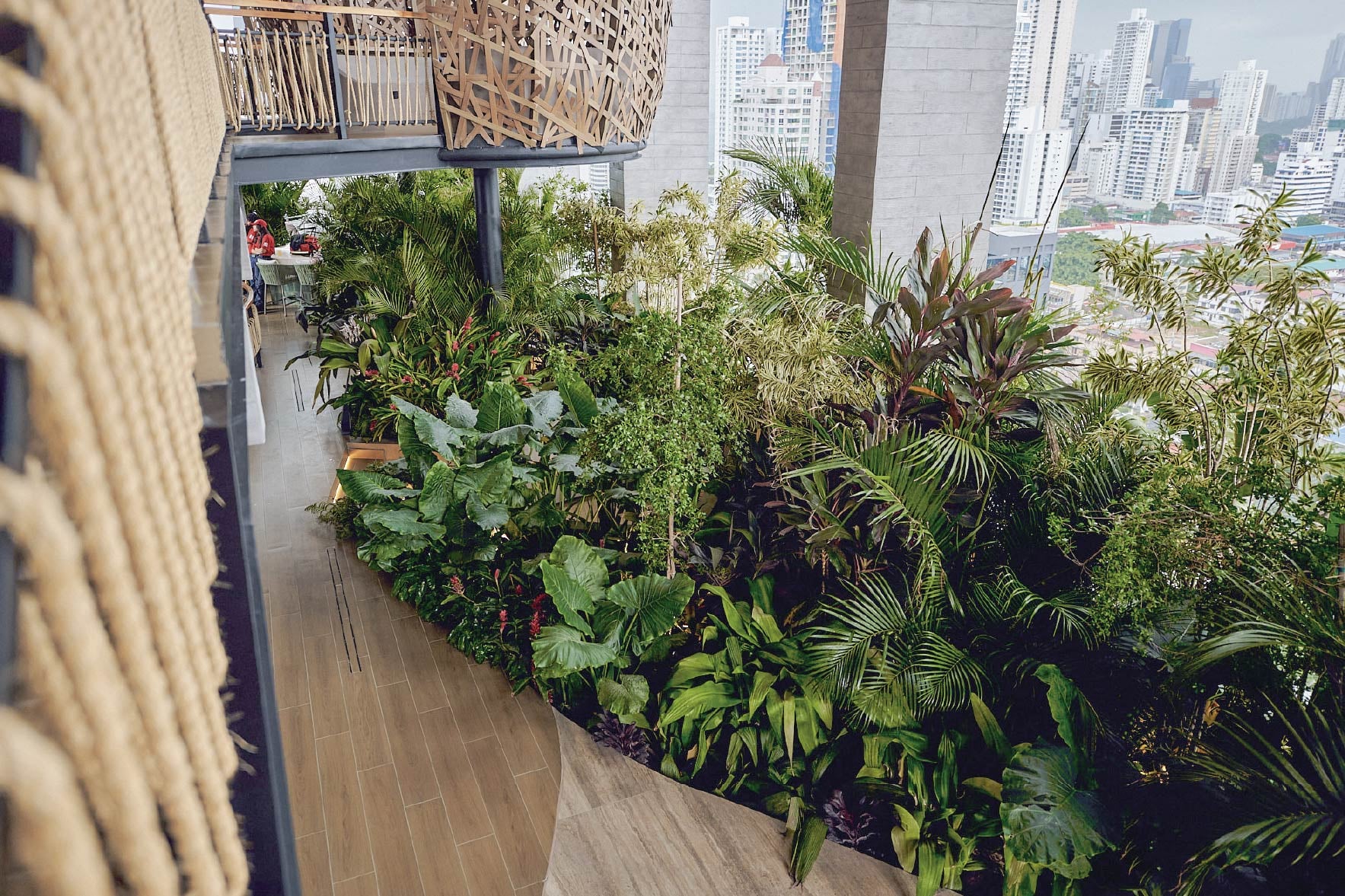 Dovle Selva — developer photograph of the planted common area and suspended seating