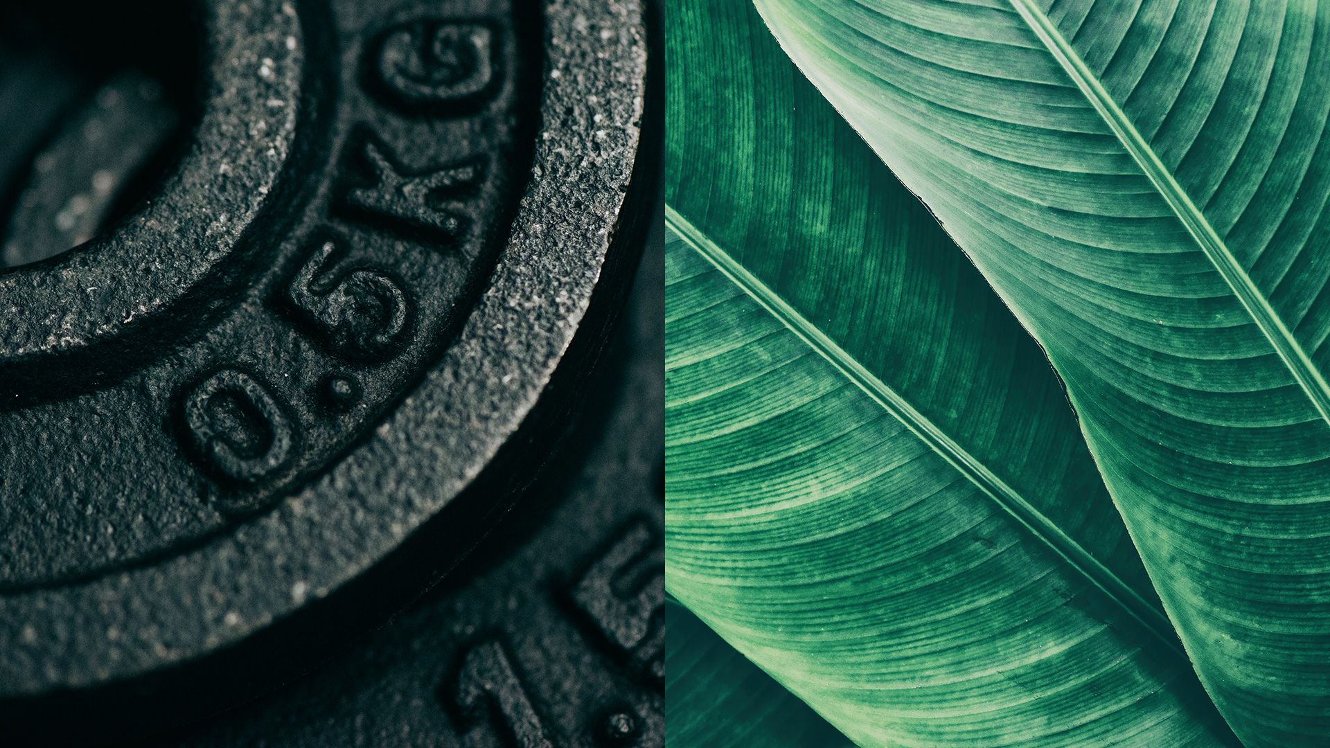 tv-header-sport-wellness-1