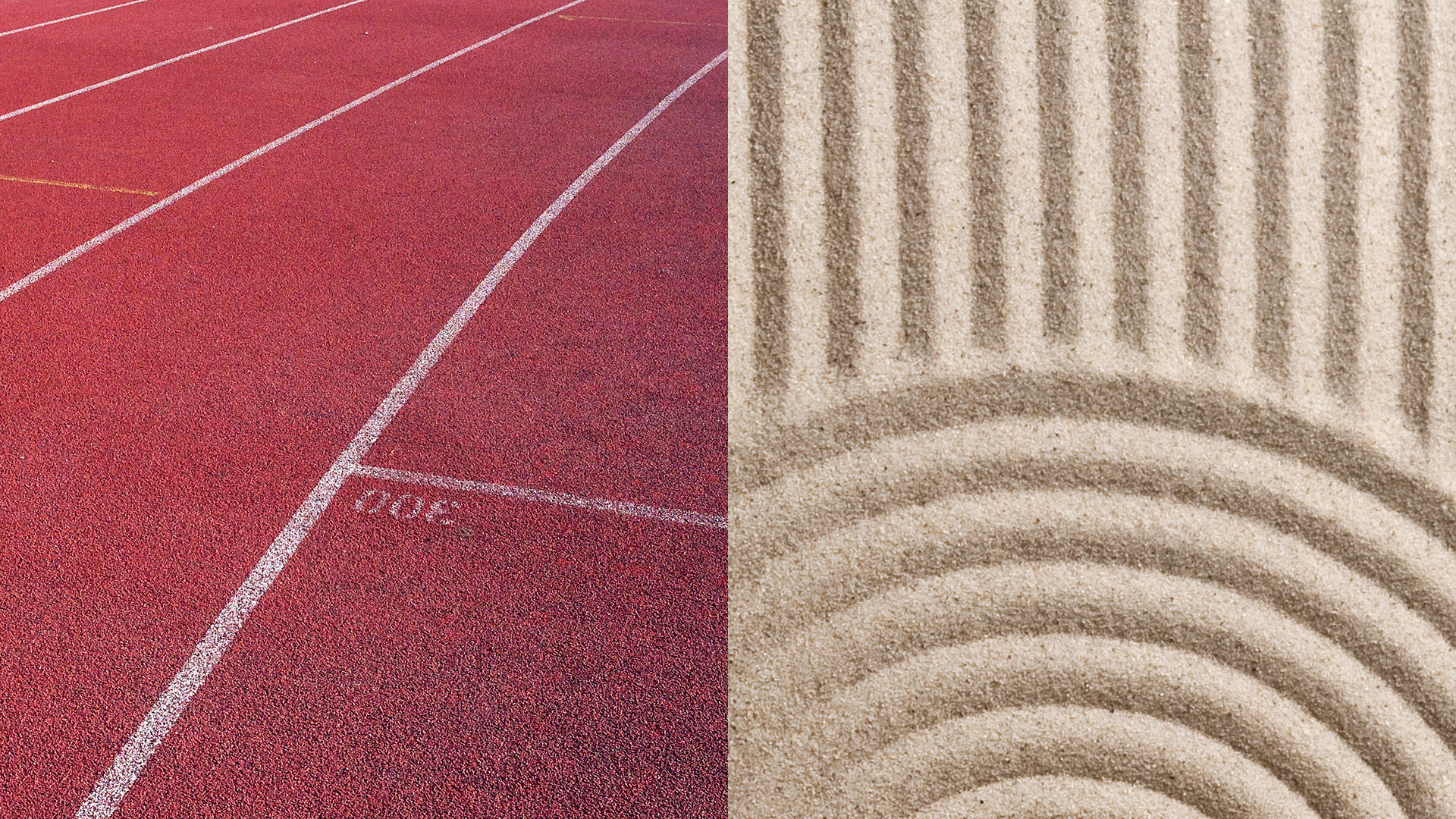 tv-header-sport-wellness-2